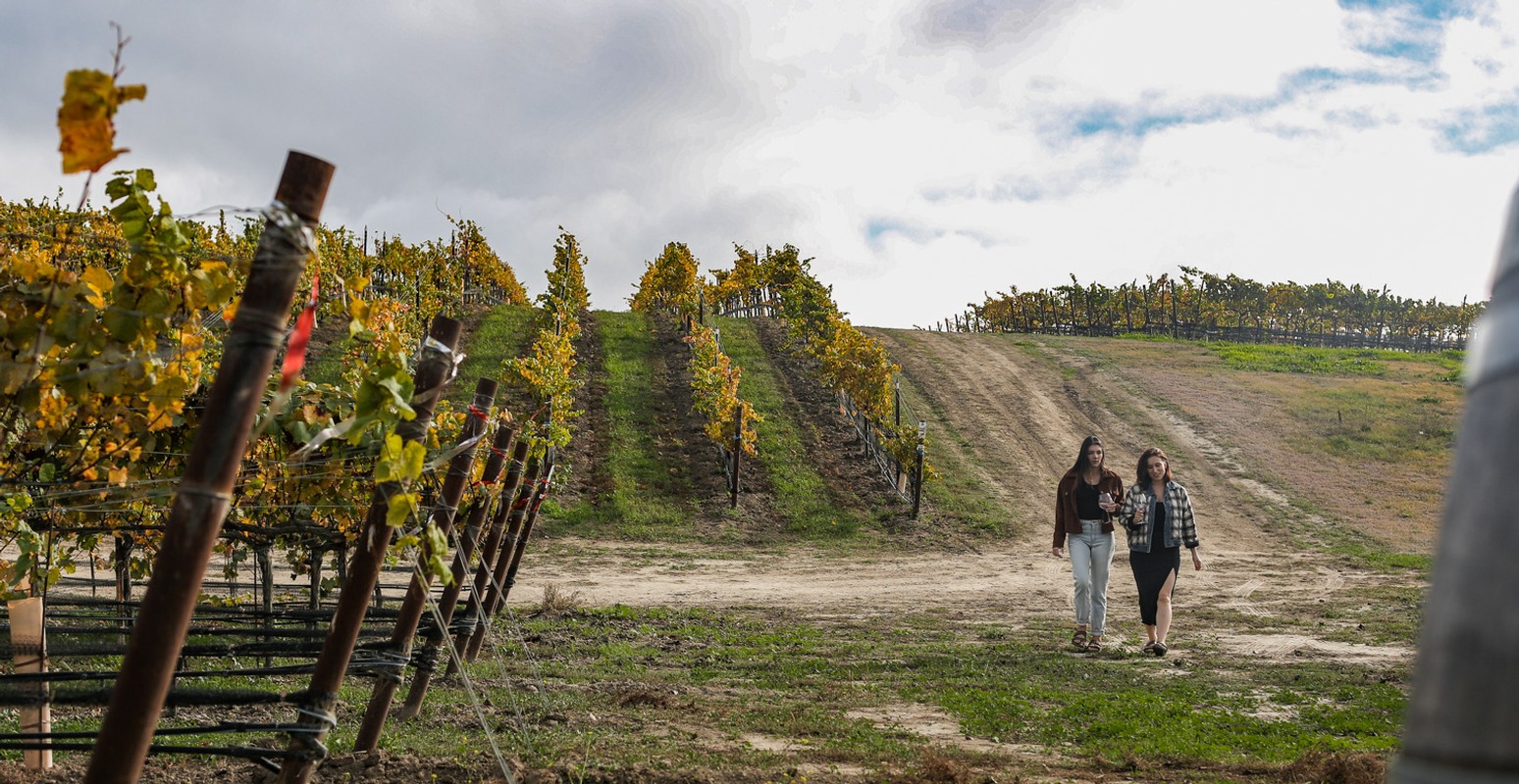 Liquid Farm Wine Club