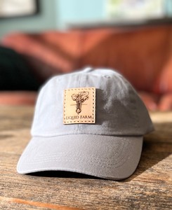 Logo patch hat in Silver