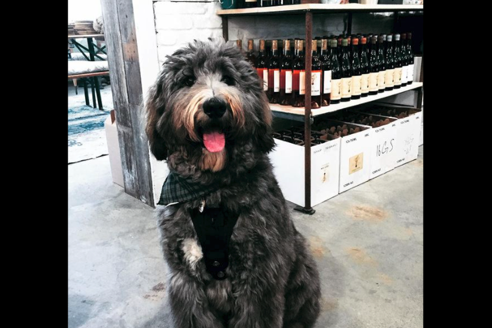 Doodleintastingroom
